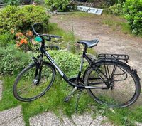 Kreidler Damenrad 28 Zoll 7Gang Shimano Nexus Hamburg - Harburg Vorschau