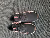 PUMA schuhe gr 40 2x getragen Nordrhein-Westfalen - Bottrop Vorschau