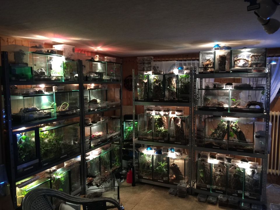 Diverse Terrarien abzuholen! in Norderstedt