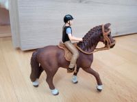 Schleich Pferd mit Reiter Nordrhein-Westfalen - Kalletal Vorschau