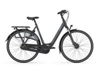 Gazelle Arroyo C7+  Citybike - NEU -  53 cm - schwarz - REDUZIERT - Rücktritt - qwe Köln - Braunsfeld Vorschau