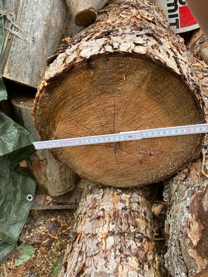 Holz/Stämme Douglasie Pseudotsuga menziesii in Laußnitz