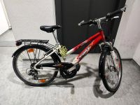 Pegasus Avanti Fahrrad 24Zoll Baden-Württemberg - Kirchheim unter Teck Vorschau