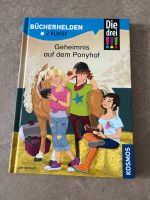 Die drei !!! Geheimnis auf dem Ponyhof Hessen - Kassel Vorschau