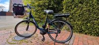 E-Bike Victoria Cysalo 9 Niedersachsen - Varel Vorschau