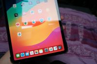 Apple Ipad Pro 11 zoll 1. Gen + Hülle + Apple Pen 2. Gen Niedersachsen - Lüneburg Vorschau