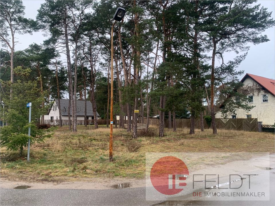 "Natur Pur" und doch berlinnah! Baugrundstück inmitten der Teupitzer Seenlandschaft in Groß Köris