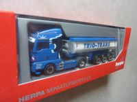 Herpa TRIO-TRANS Friedberg MAN TGX E6c Sattelkipper 310673 Schleswig-Holstein - Bornhöved Vorschau