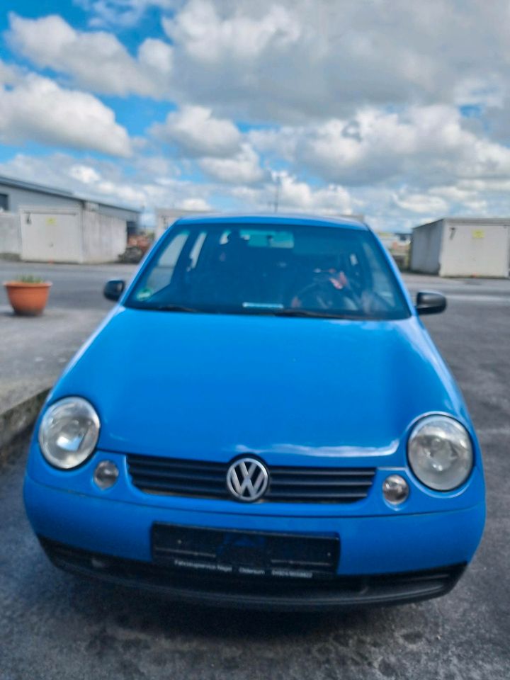 Treuer VW Lupo EZ 2004 in Emden