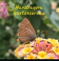 Gartenpflege, naturnah, Heckenschnitt, Baumfällungen Niedersachsen - Walkenried Vorschau