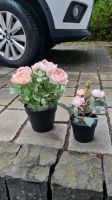 2 Topfpflanzen, künstlich, rosa Hessen - Oberursel (Taunus) Vorschau