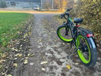 elektrisches Fahrrad Baden-Württemberg - Langenau Vorschau