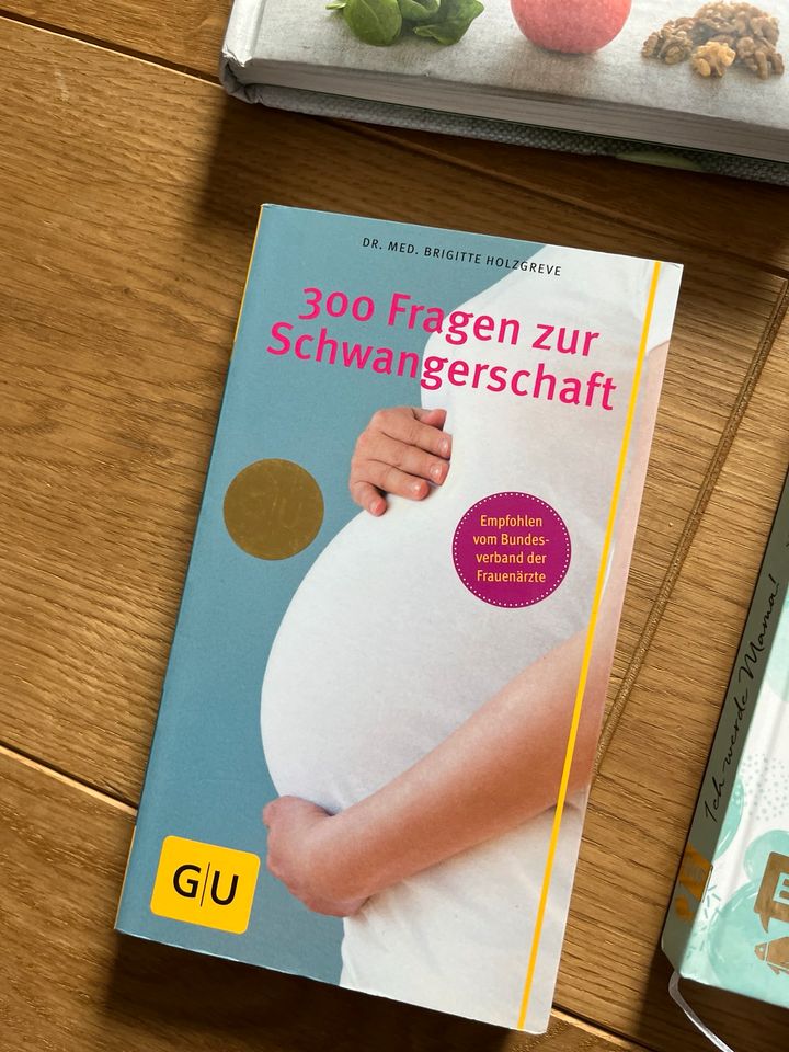 Meilensteinkarten Schwangerschaft Buch Tagebuch Ratgeber in Hagenburg