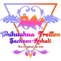 Chihuahua Treffen Sachsen-Anhalt Sachsen-Anhalt - Osternienburger Land Vorschau