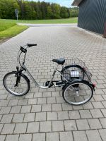 Draísin Senora E-Bike Baden-Württemberg - Allensbach Vorschau