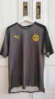 BVB Trainingsshirt Puma Größe XL Dortmund - Innenstadt-West Vorschau