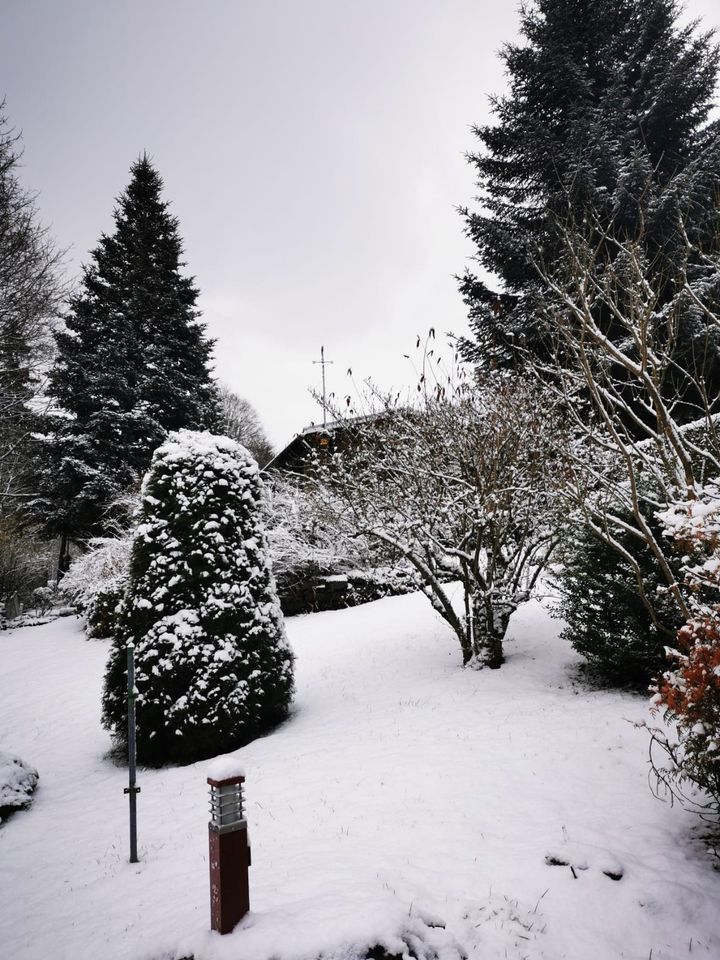 ✿❀ traumhaftes Gartenhaus mit toller Ausstattung ✾❁ in Ehrenfriedersdorf