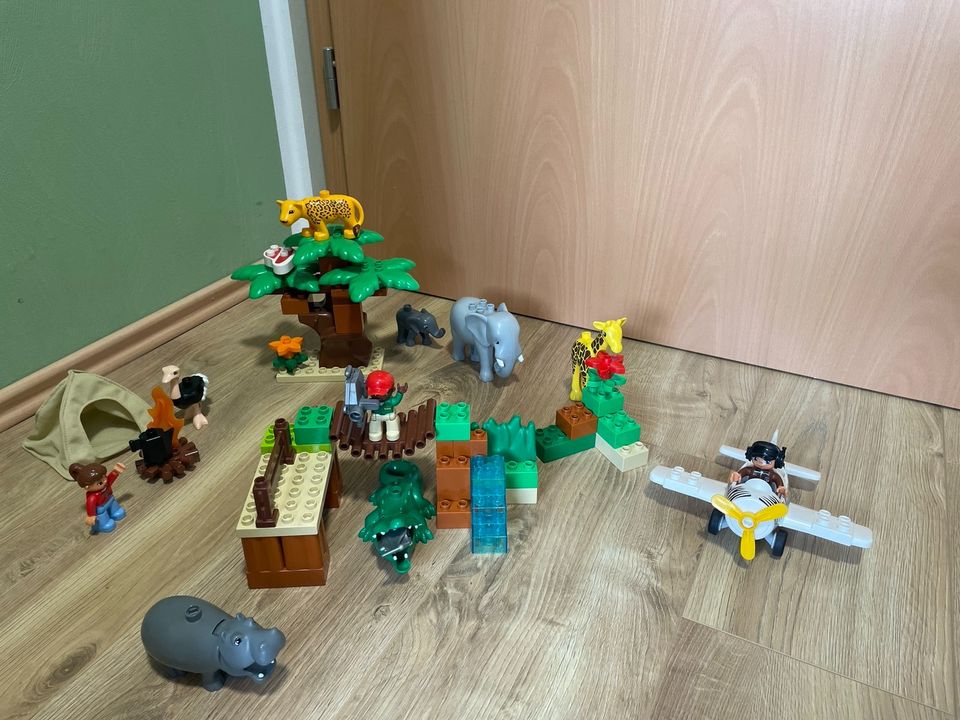 Lego Duplo Safari, Rarität in Battenberg