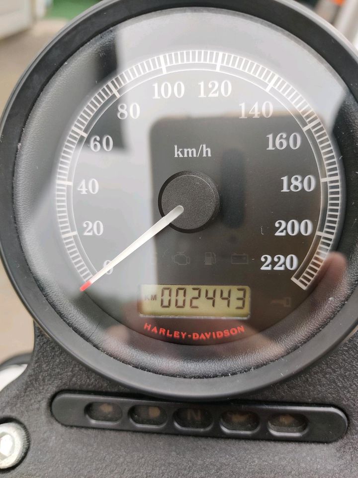 Harley Davidson Sportster Iron 883 2400km! Chopper in Untermarchtal