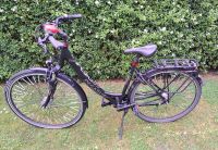 Pegasus Solero SL Trekking-Rad Nordrhein-Westfalen - Steinfurt Vorschau