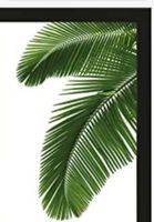 Ikea Bild/ Poster „ Palmwedeln“ mit schwarzem Bilderrahmen Baden-Württemberg - Waibstadt Vorschau