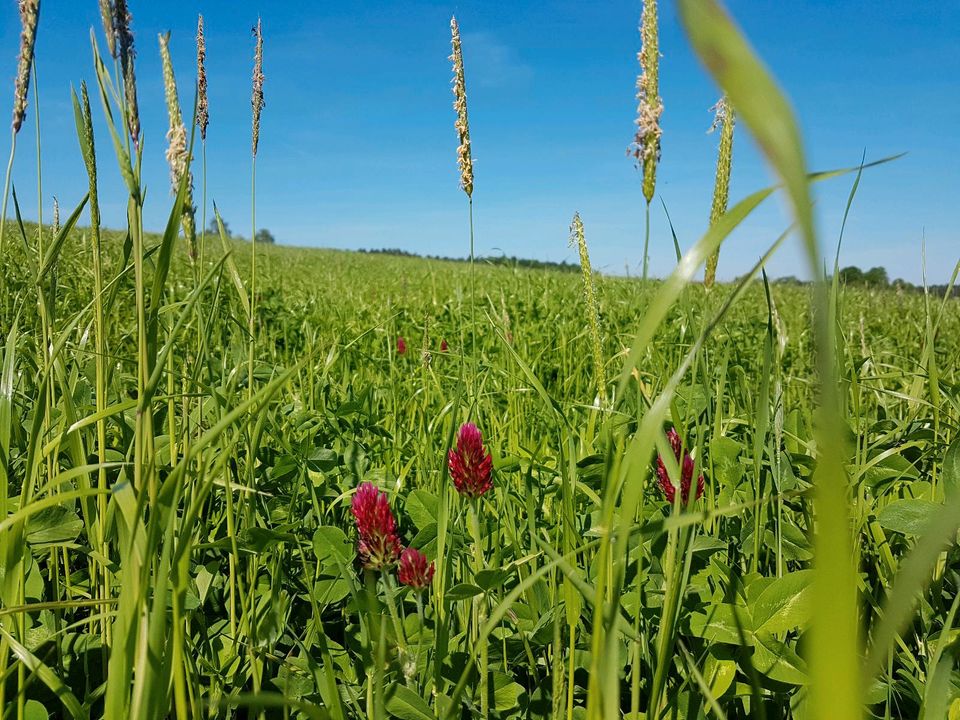 Ackerland Felder zur Pacht Bewirtschaftung Bio Acker Nutzflächen in Tittmoning