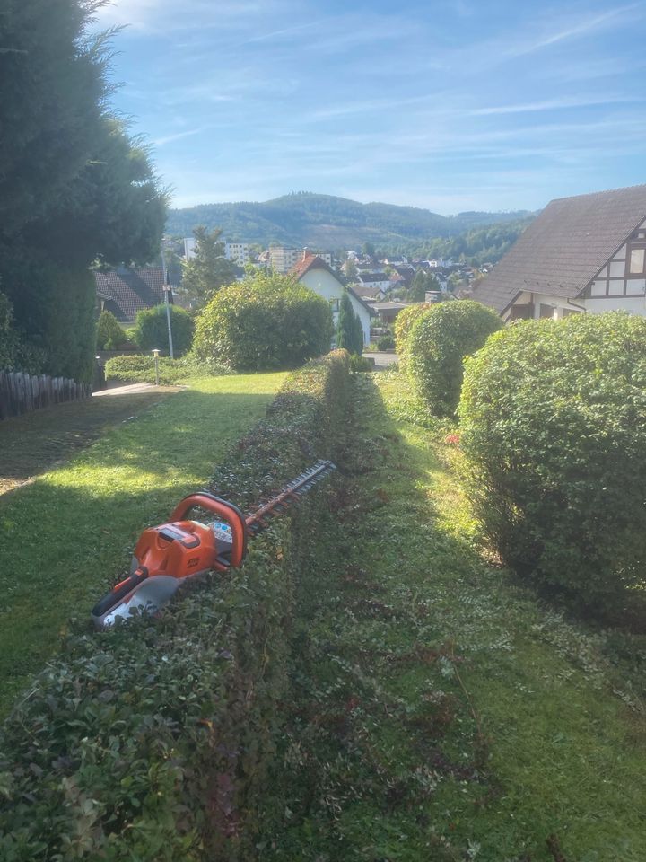 Gartenpflege - Strauch und Heckenpflege - Rasenmähen - u. v. m. in Biedenkopf