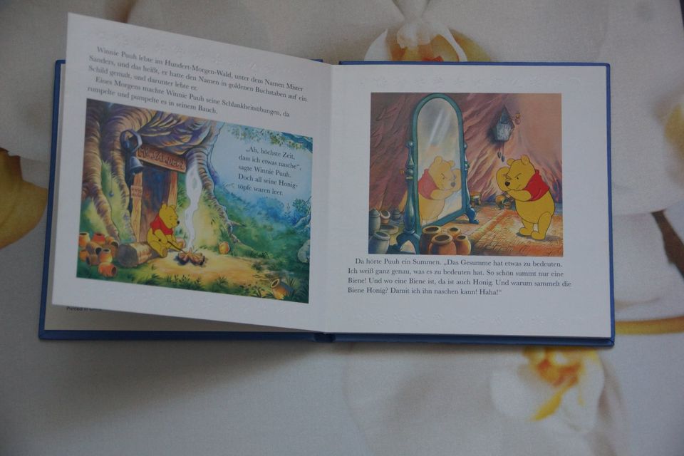 Disney Winnie Puuh Lesen & Fühlen Kinderbuch Buch in Hunsrück