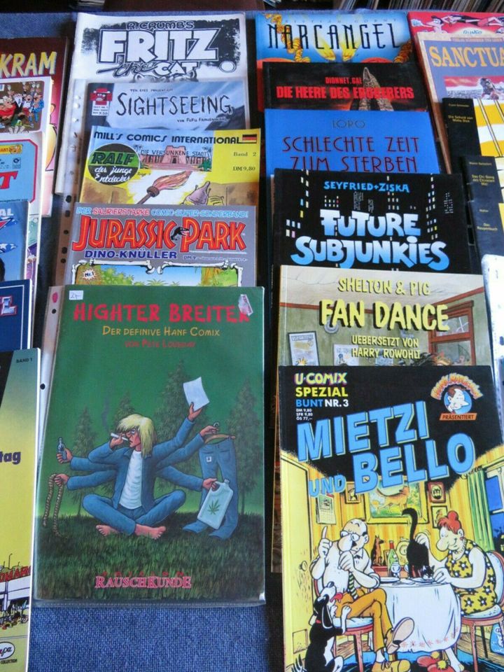 Comicbücher verschiedene Sorten in Homburg