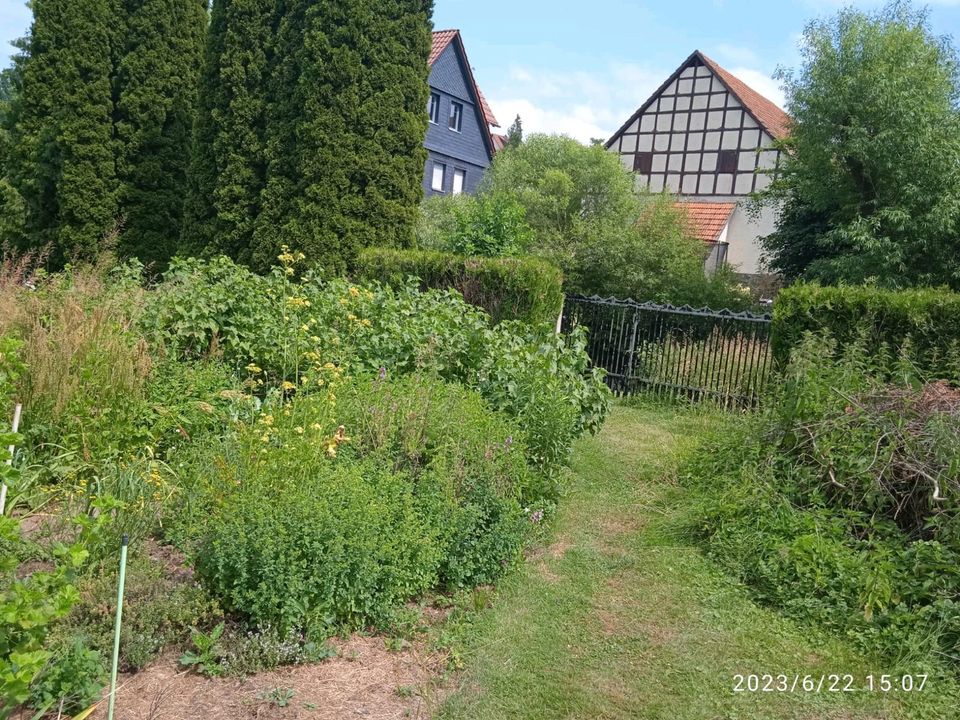 Schrebergarten in Frankenberg (Eder)