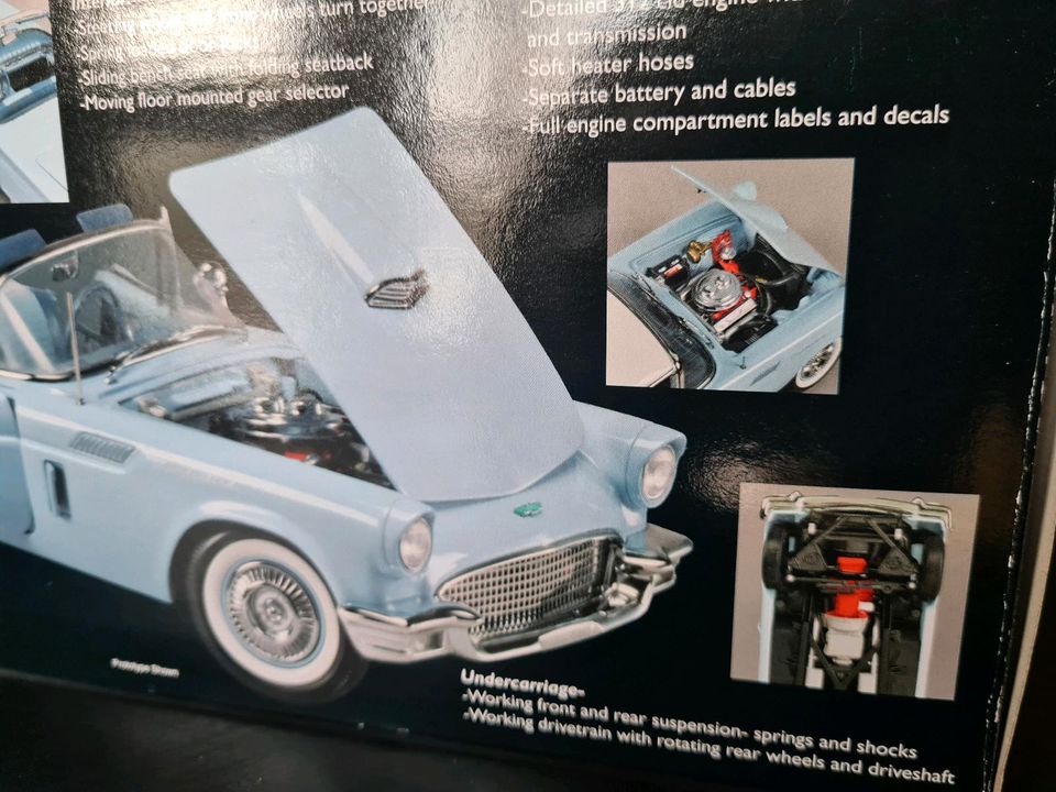 Ford Thunderbird 1957 1/18 Modell wie CMC oder Autoart in Bad Schussenried