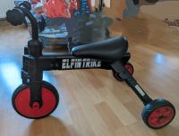 Dreirad ELFIN TRIKE Sachsen - Falkenstein/Vogtland Vorschau