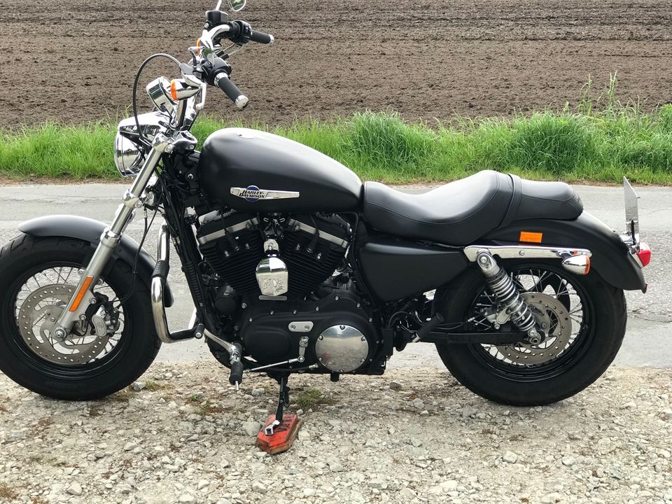 Harley-Davidson Sportster Custom 1200 in Gütersloh