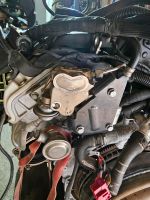 Porsche Panamera Cayenne 4.8 V8 Motor Einspritzpumpe 94811031525 Rheinland-Pfalz - Wirges   Vorschau