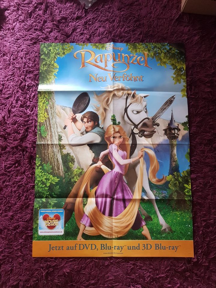 Disney Rapunzel neu verföhnt Kino Poster in Warendorf