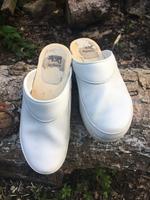 BigHorn medizinische Clogs Gr.39 Holland Arbeitsschuh Botten Niedersachsen - Barendorf Vorschau