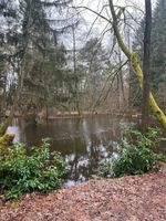 Abrisshaus mit Fischteich, Waldgrundstück ca. 10034 m² Niedersachsen - Tostedt Vorschau