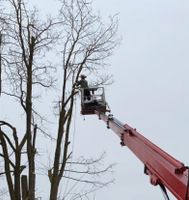 ❗Baumfällung Problembaum fällen Hecke entfernen roden Bayern - Bruckberg bei Landshut Vorschau