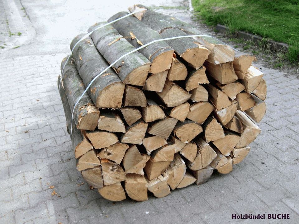 Holzbündel Buche 1 Rm / 1 Ster Brennholz TOP in Aerzen