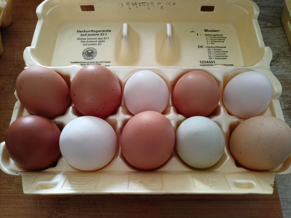 Eier von glücklichen Hühnern in Eisenhüttenstadt