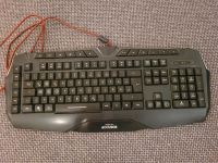 Speedlink Tastatur (leutet und funktioniert) Wechingen - Fessenheim Vorschau