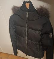 Superdry Winterjacke / Jacke / Windbreaker Nordrhein-Westfalen - Verl Vorschau