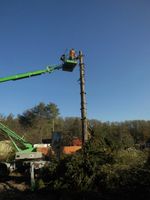 Baumpflege Baumschnitt Baumfällung Baum-Sturmschaden Brandenburg - Eggersdorf Vorschau