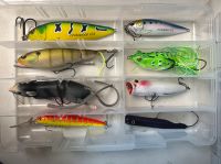 Tackle Box mit Ködern für Raubfisch Hecht Zander Barsch Brandenburg - Bernau Vorschau