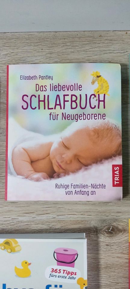 Elternratgeber, Baby Fachbücher -neuwertig in Eimeldingen