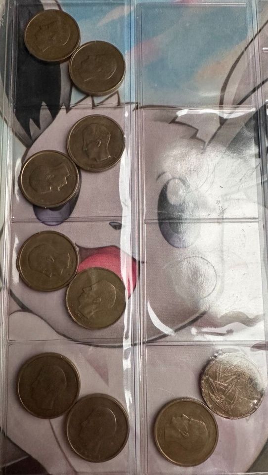 Münzen Sammlung Amerika Belgien Schweiz England usw Dachbodenfund in Stolberg (Rhld)
