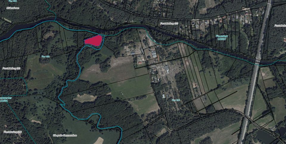 Waldfläche bei Marienwerder, Landkreis Barnim im Land Brandenburg in Marienwerder b. Bernau b. Berlin