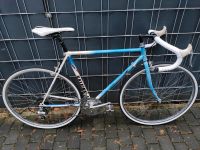 Raleigh Race Bird Rennrad 54cm RH Hessen - Darmstadt Vorschau