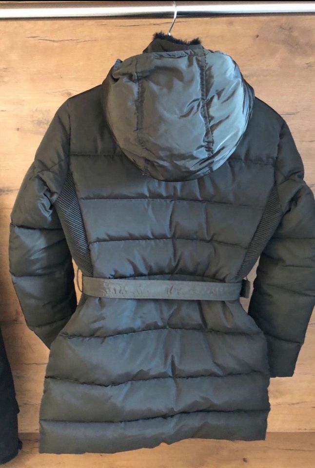 Winterjacke Pepe Jeans dunkelgrün in Damme