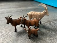 Schleich Tiere. Nordrhein-Westfalen - Solingen Vorschau